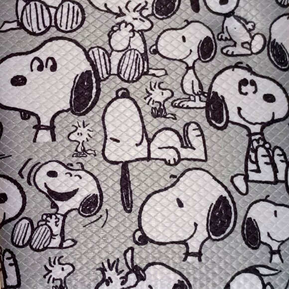 COPY - NWT ~ 2 Pack of Peanuts Snoopy World's Famous Beagle Microfiber Dish Dry… - Picture 5 of 6